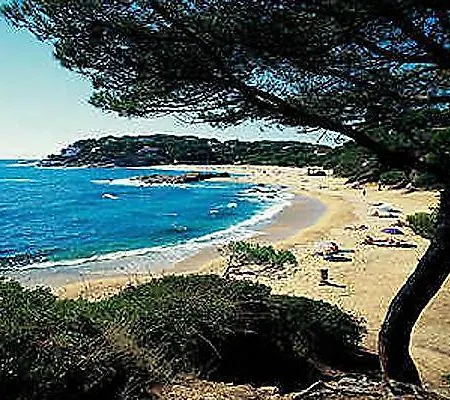 Evenia Olympic Palace 4* Lloret de Mar